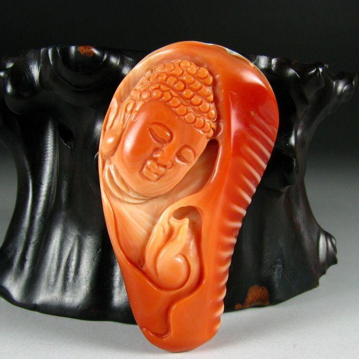 藏新宠纯天然手工精美达摩砗磲挂件一心向佛_