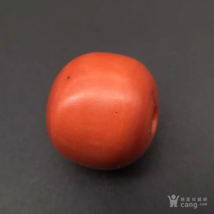 ׵ôôɺ