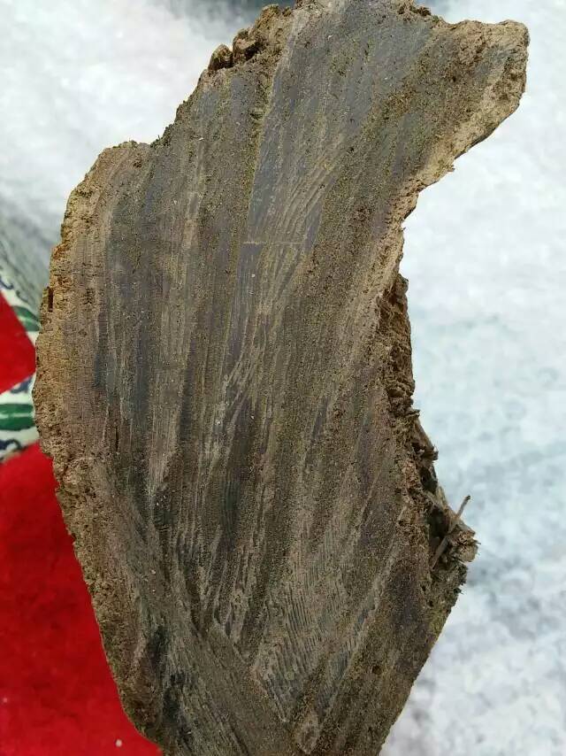 极品广西土沉香(开云沉香)具有奇楠沉的黑料原