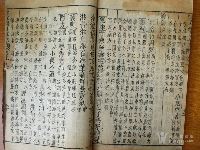 清代木刻版 本草纲目草部第十六卷