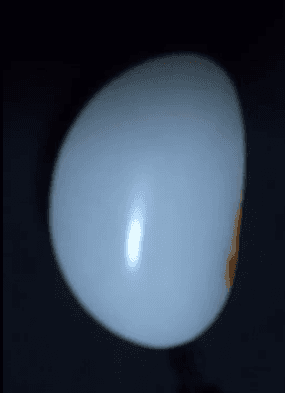 ����һ���������ϡ����ա�-ͼ3