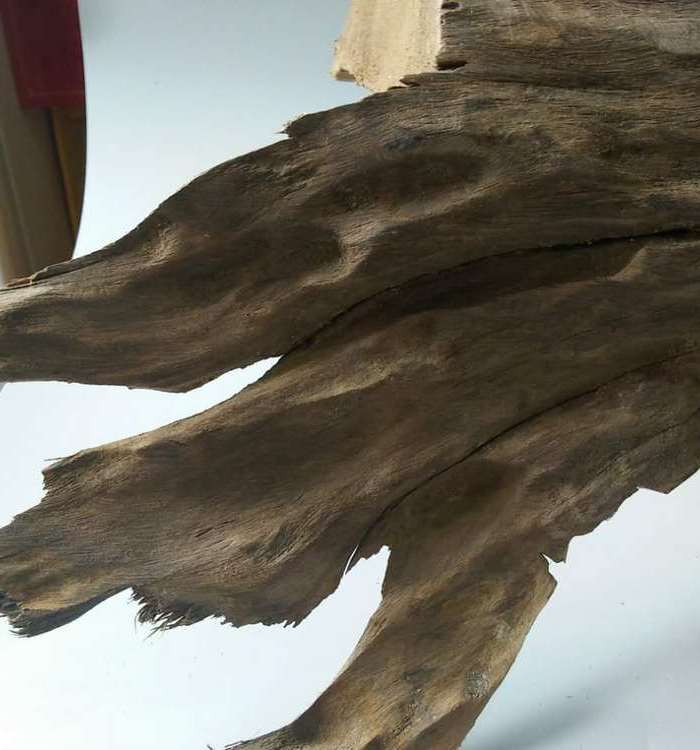 广西土沉香(开云沉香)具有奇楠沉的*原料