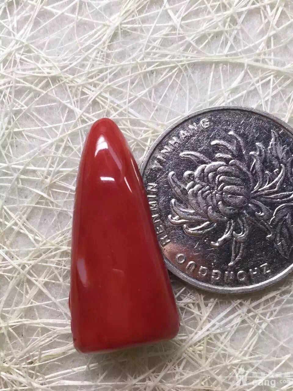 momo红珊瑚,极品特号色,小观音