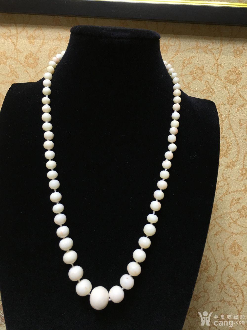 天然深海白珊瑚14k金头项链41.1克(d40685638)