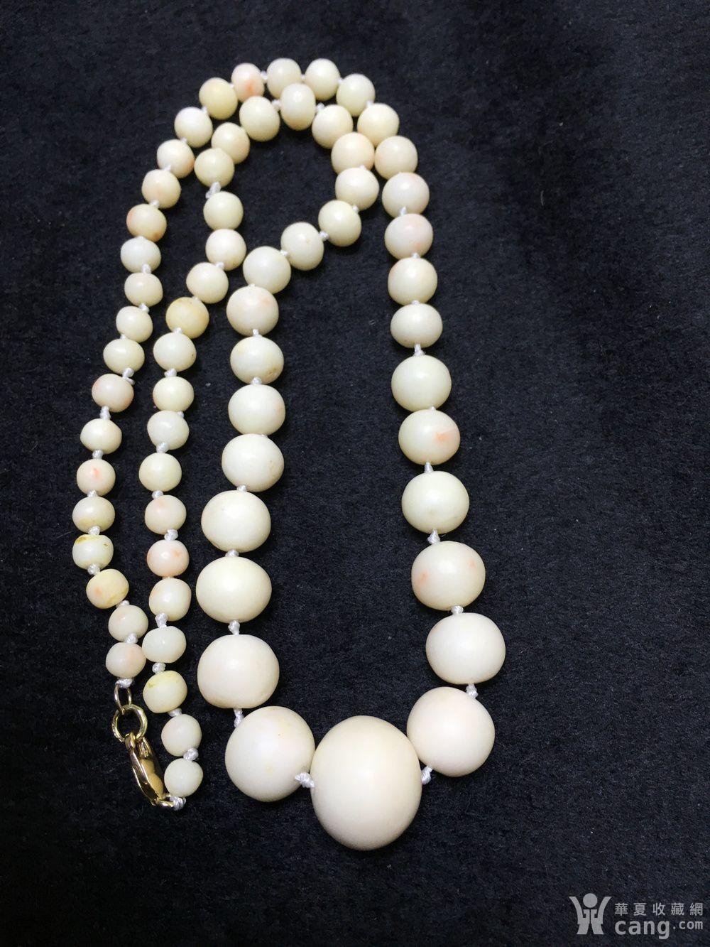 天然深海白珊瑚14k金头项链41.1克(d40685638)