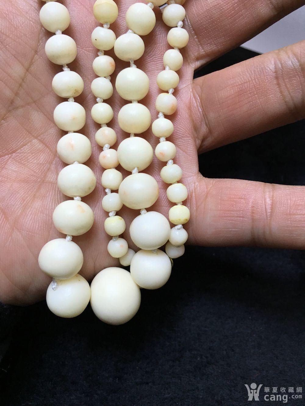 天然深海白珊瑚14k金头项链41.1克(d40685638)