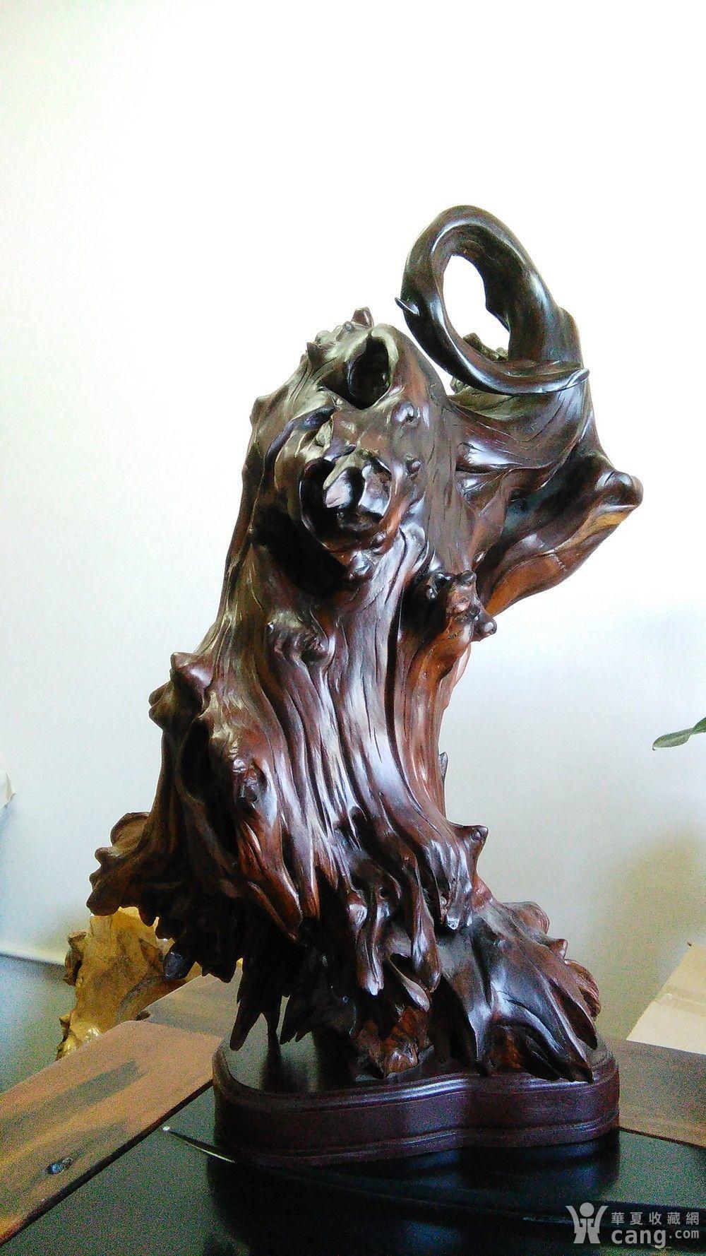 云南根艺 岩桑木根艺 摆件《寻觅灯火阑珊》