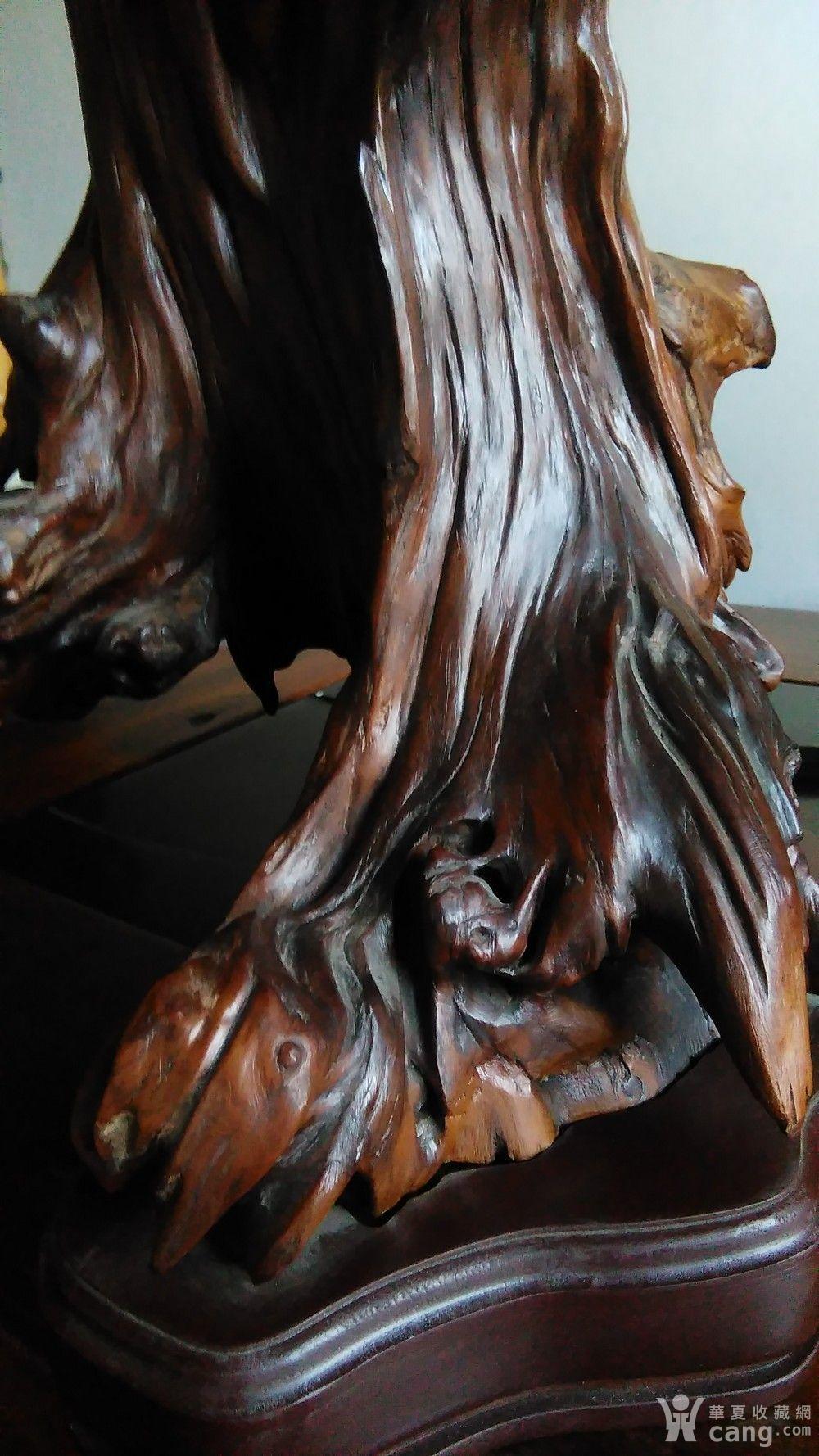 云南根艺 岩桑木根艺 摆件《寻觅灯火阑珊》