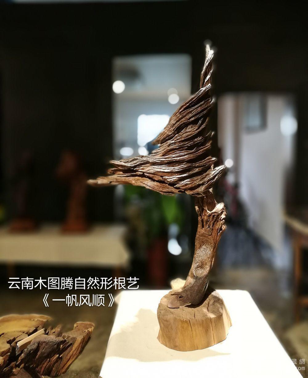云南根艺 清香木 《一帆风顺》