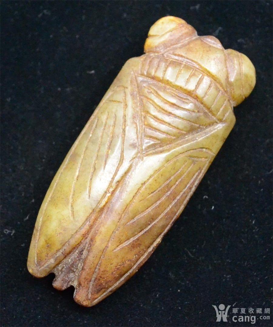 包老 和田 玉蝉 良渚文化 双面雕 一鸣惊人