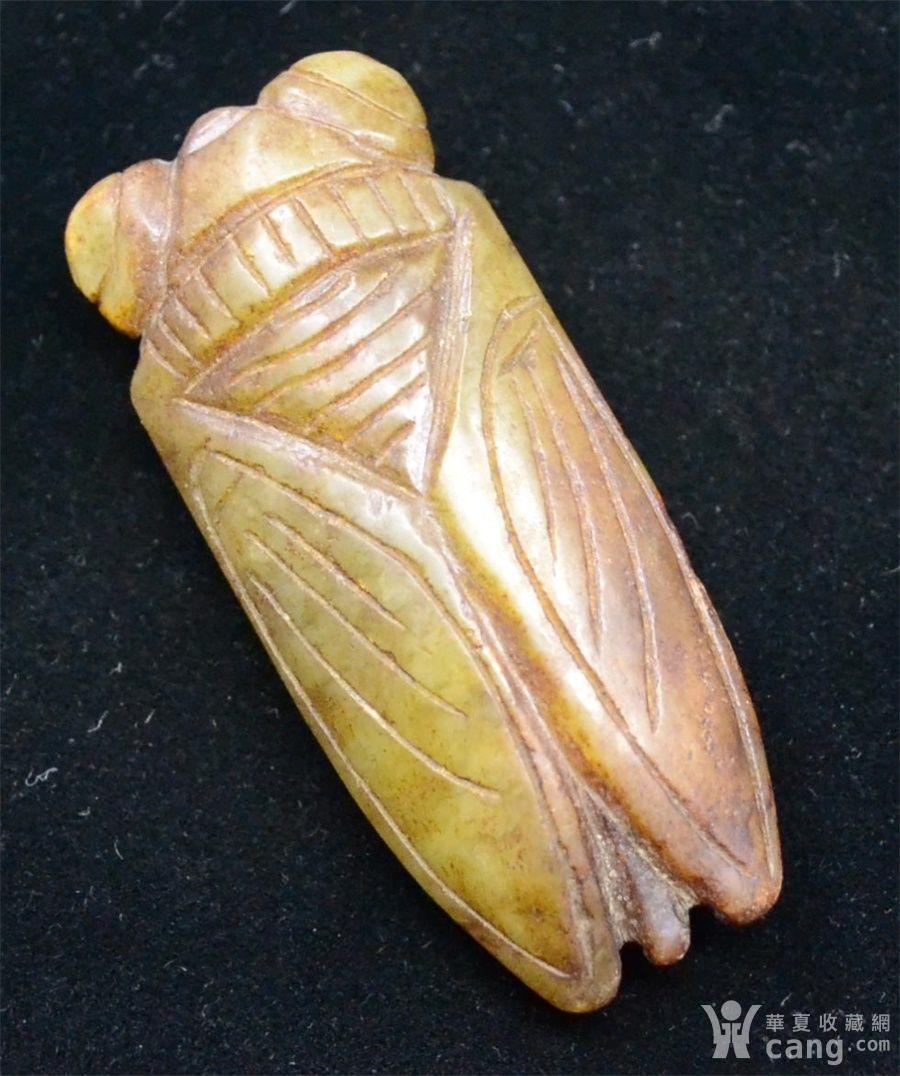 包老 和田 玉蝉 良渚文化 双面雕 一鸣惊人