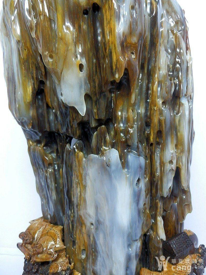 誉恒轩树化玉 老坑冰种极品 高端奢侈收藏品 传家宝 风水玉石