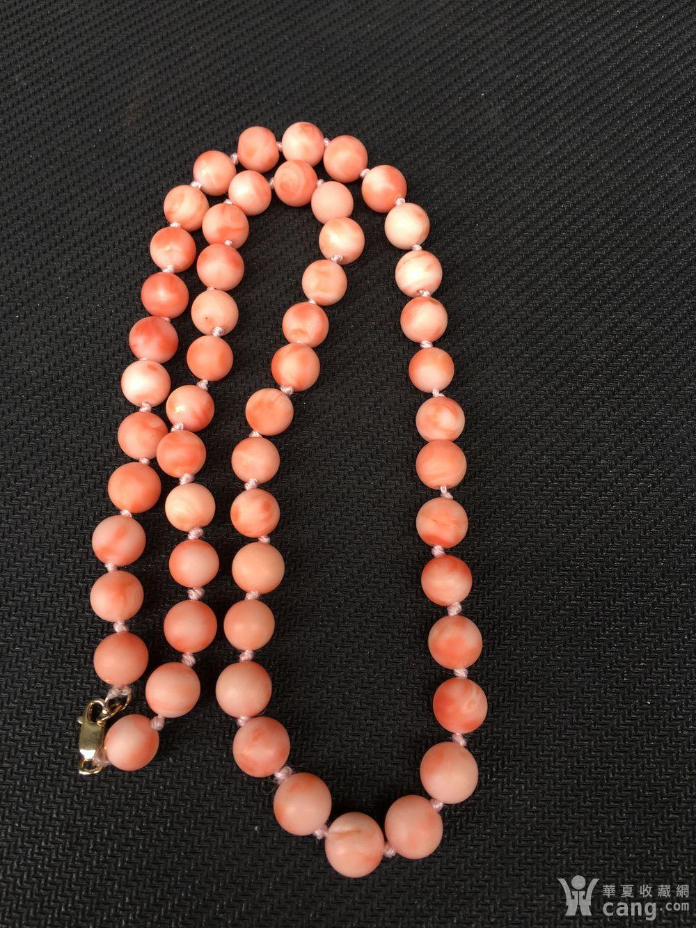 天然深海孩儿面粉珊瑚金头项链49克(d315110825)