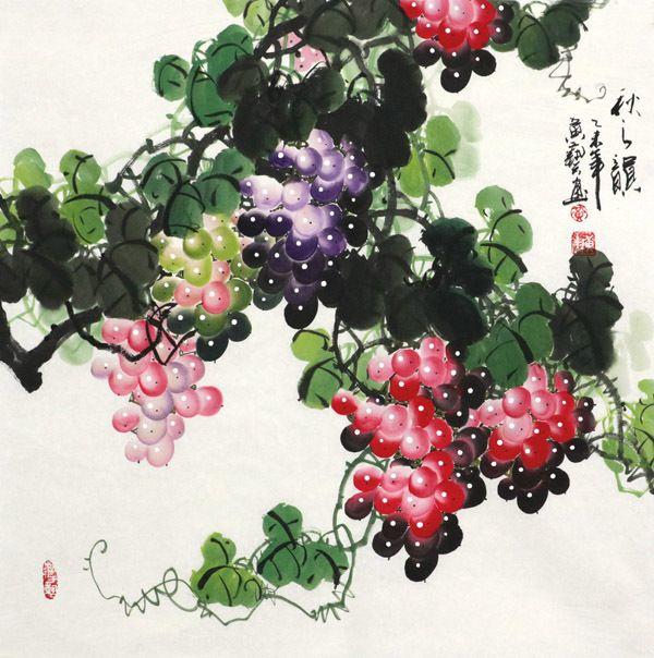 黄艺183 四尺斗方葡萄