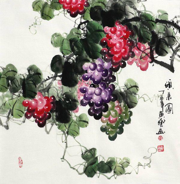 黄艺183 四尺斗方葡萄