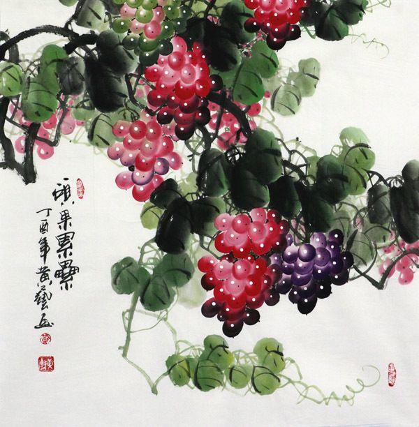 黄艺183 四尺斗方葡萄