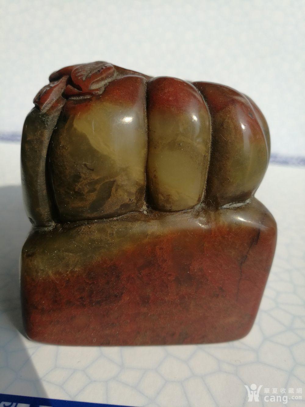 寿山石印-寿山石印 属性:芙蓉石印,,民国,,闲章,,花果,,钮雕,,, 简介