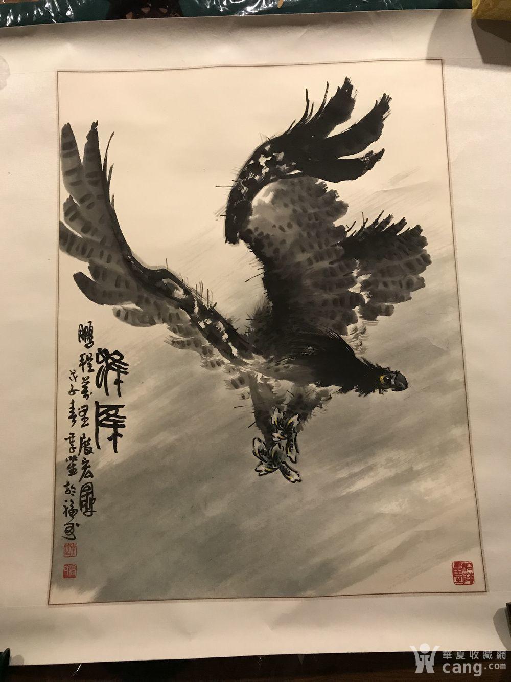 高季笙鹰图镜心