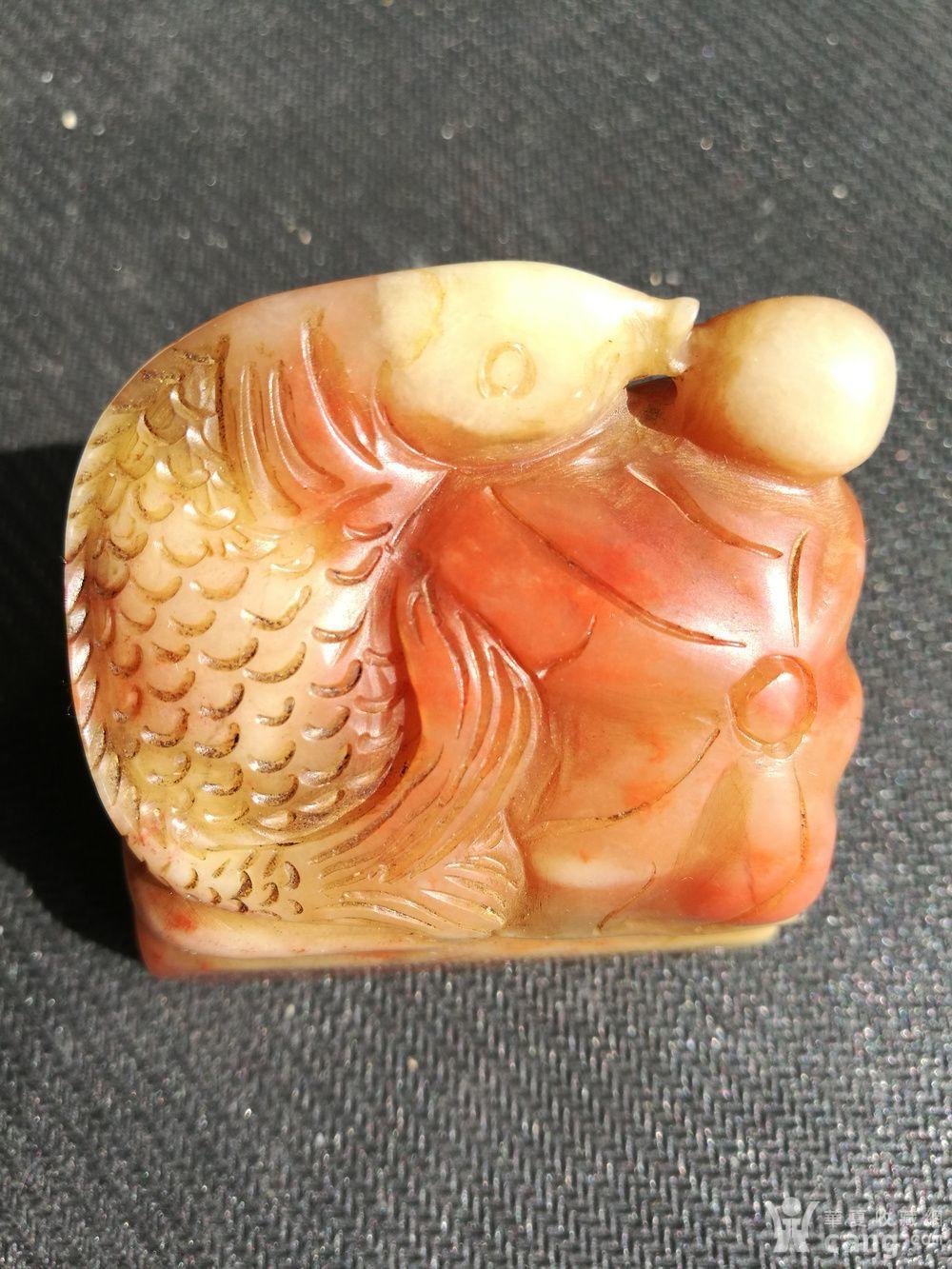 真品发证 清,江介作寿山醉芙蓉珠砂冻鱼钮闲章