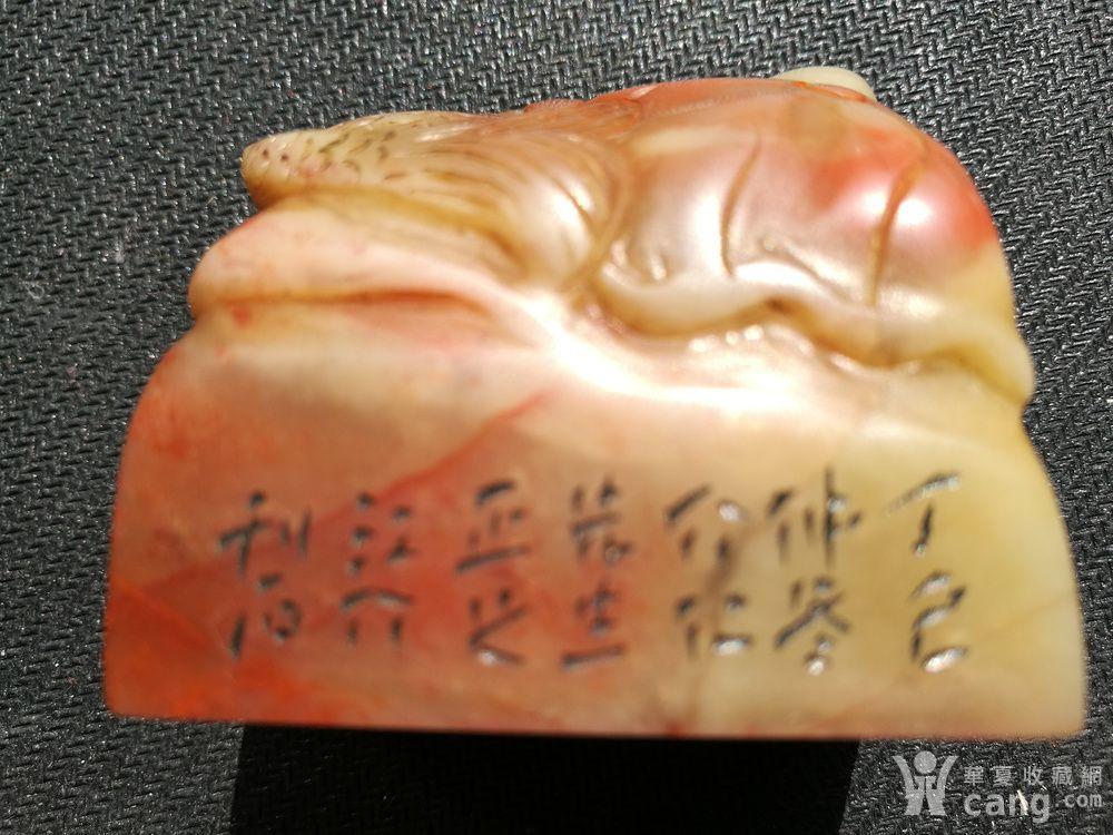 真品发证 清,江介作寿山醉芙蓉珠砂冻鱼钮闲章