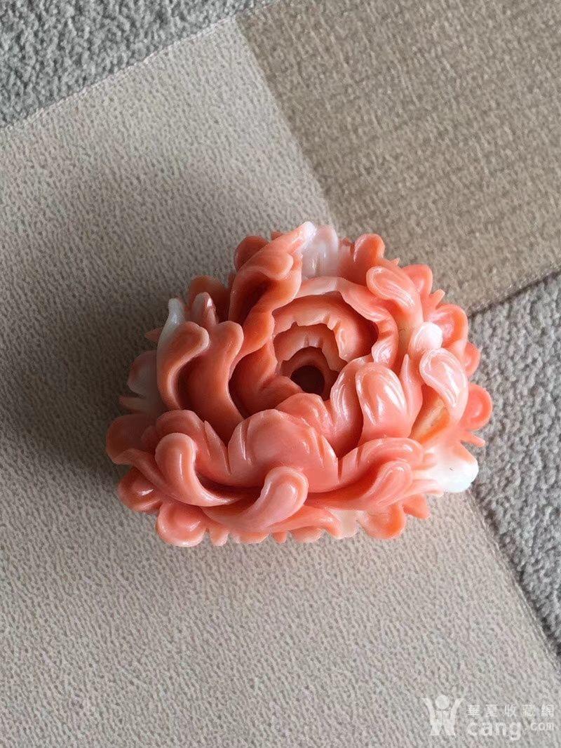 天然红珊瑚莫莫牡丹花