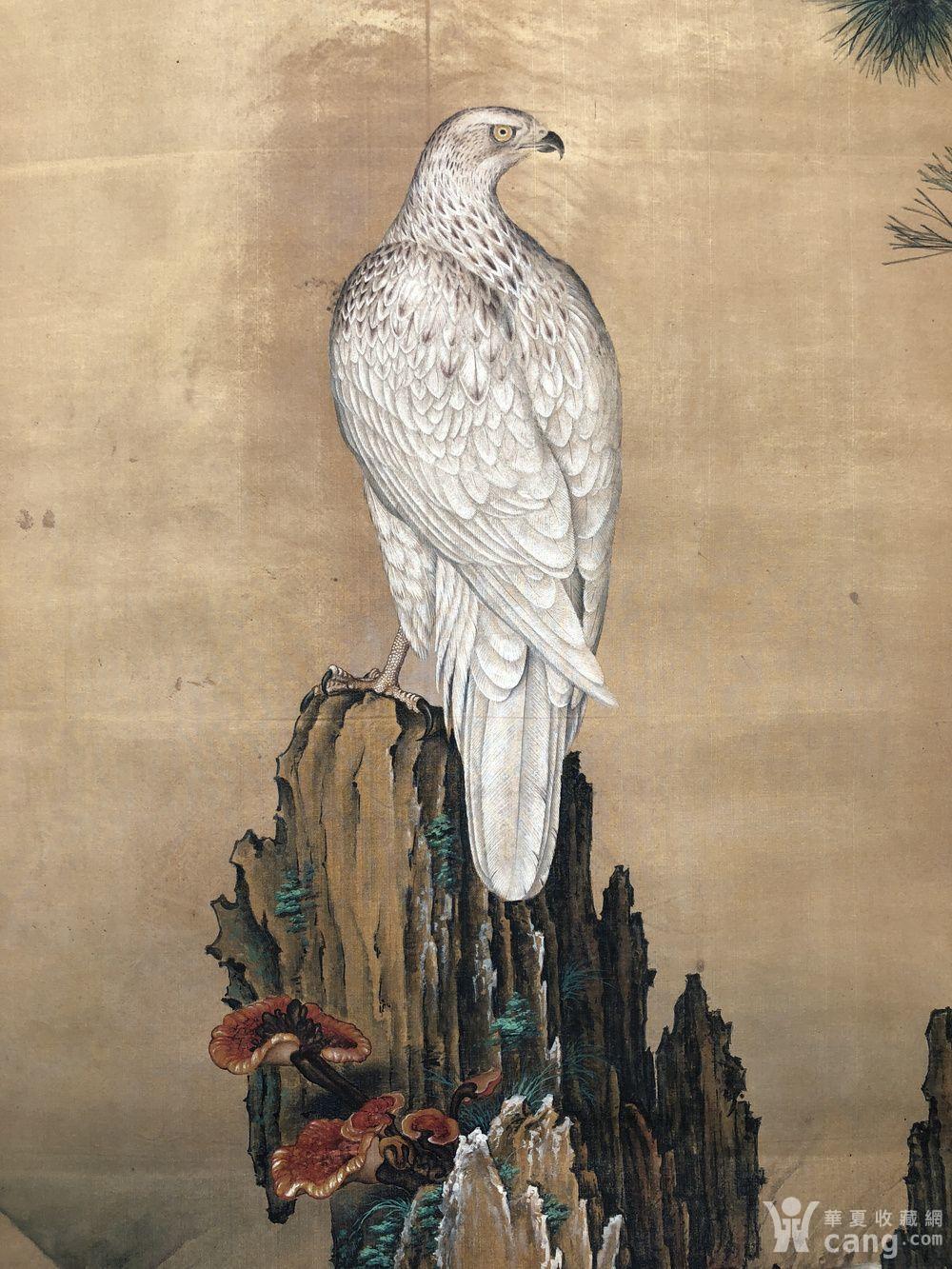 清.郎世宁 松鹰图