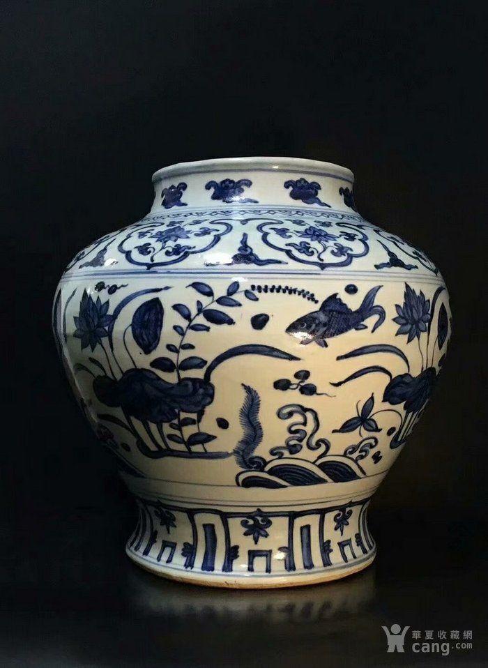 明代空白期青花鱼草纹大罐