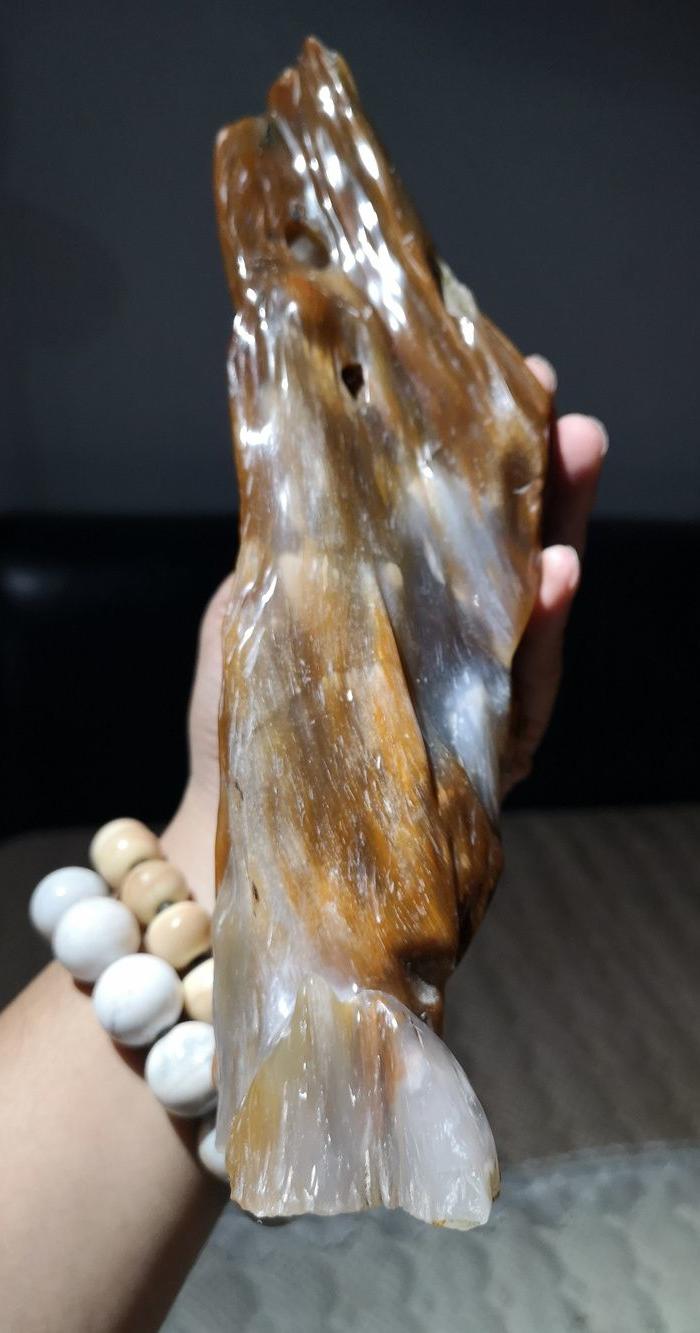 树化玉原石一块