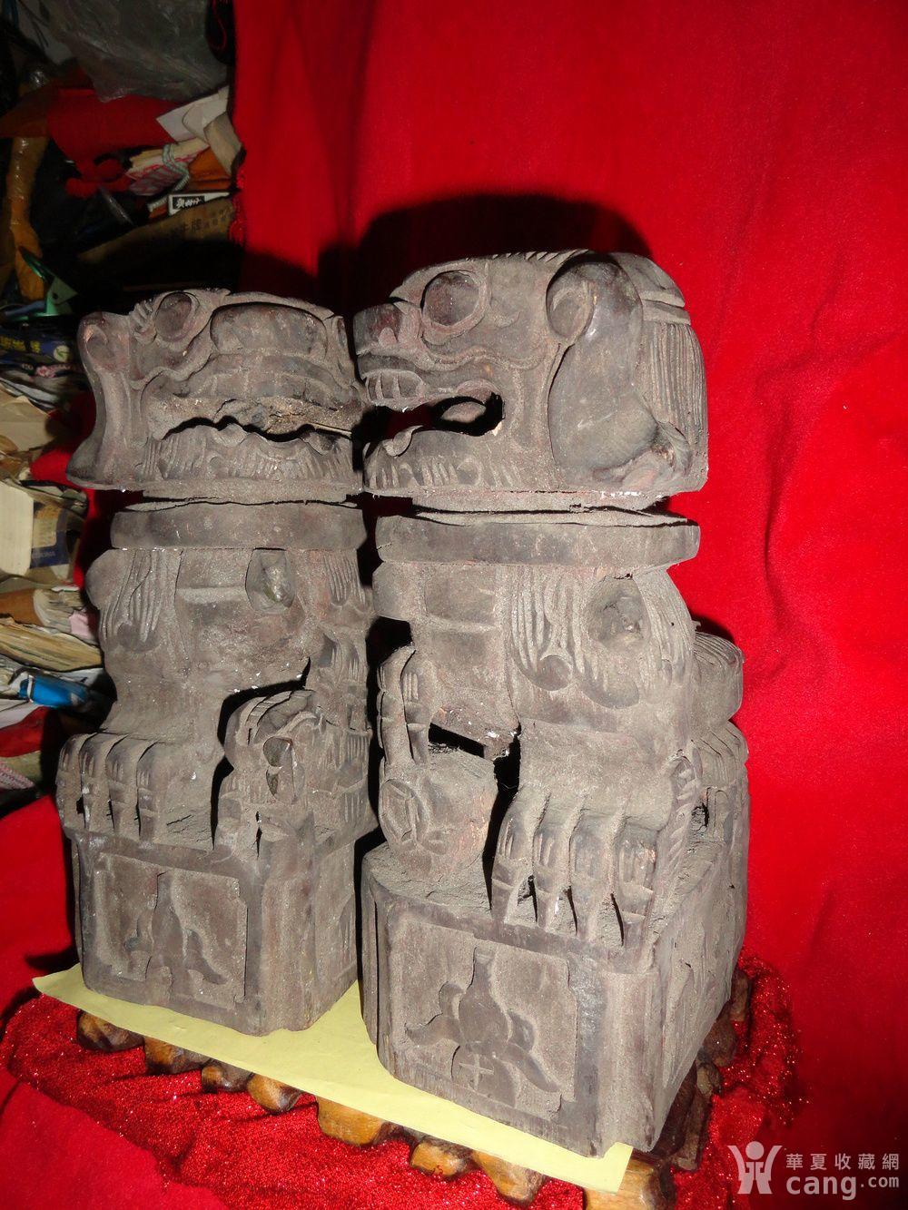 母 香樟木老狮子.