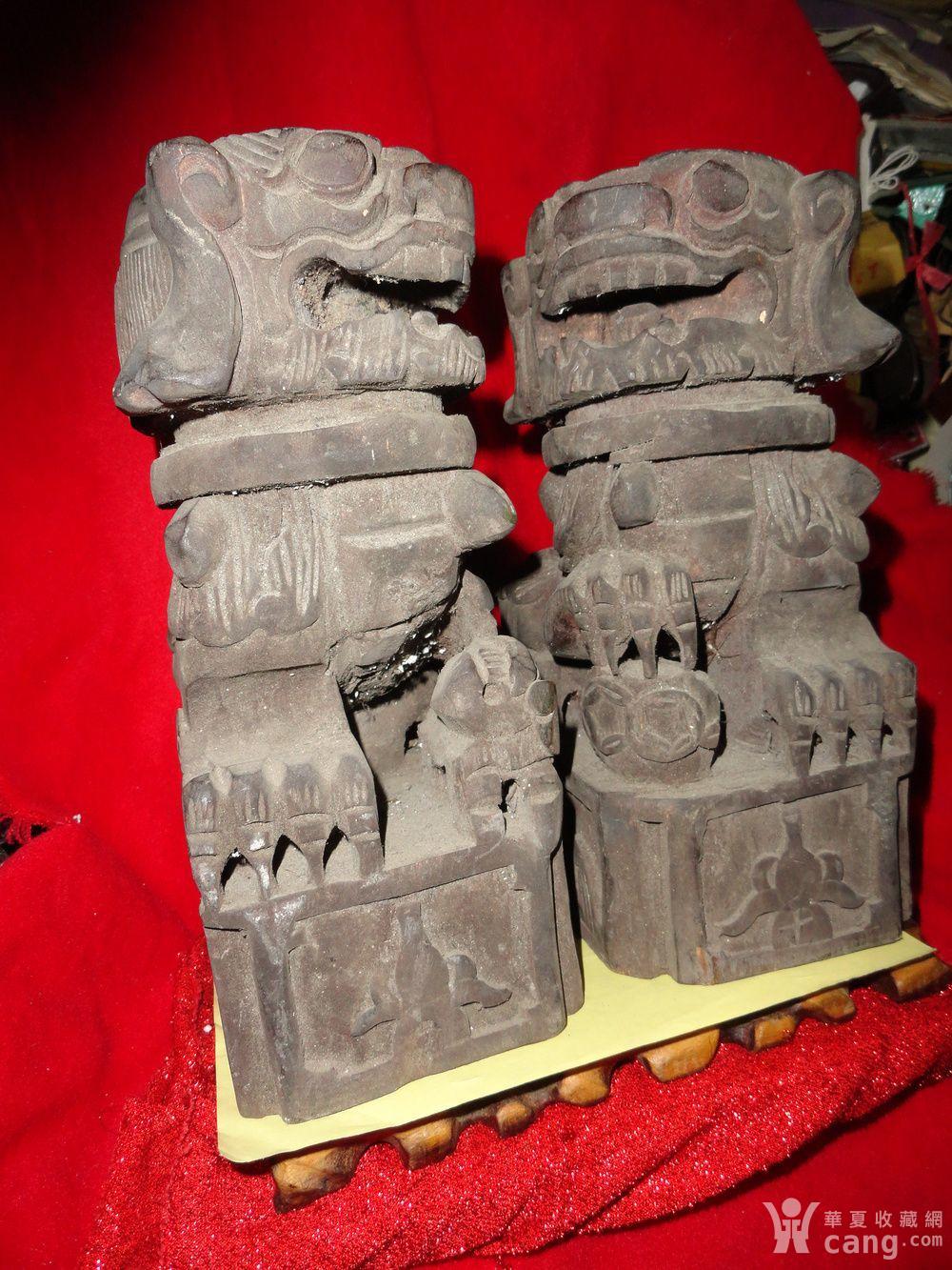 母 香樟木老狮子.