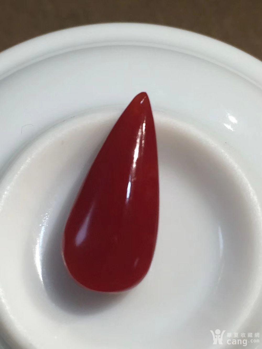 阿卡牛血红珊瑚水滴界面