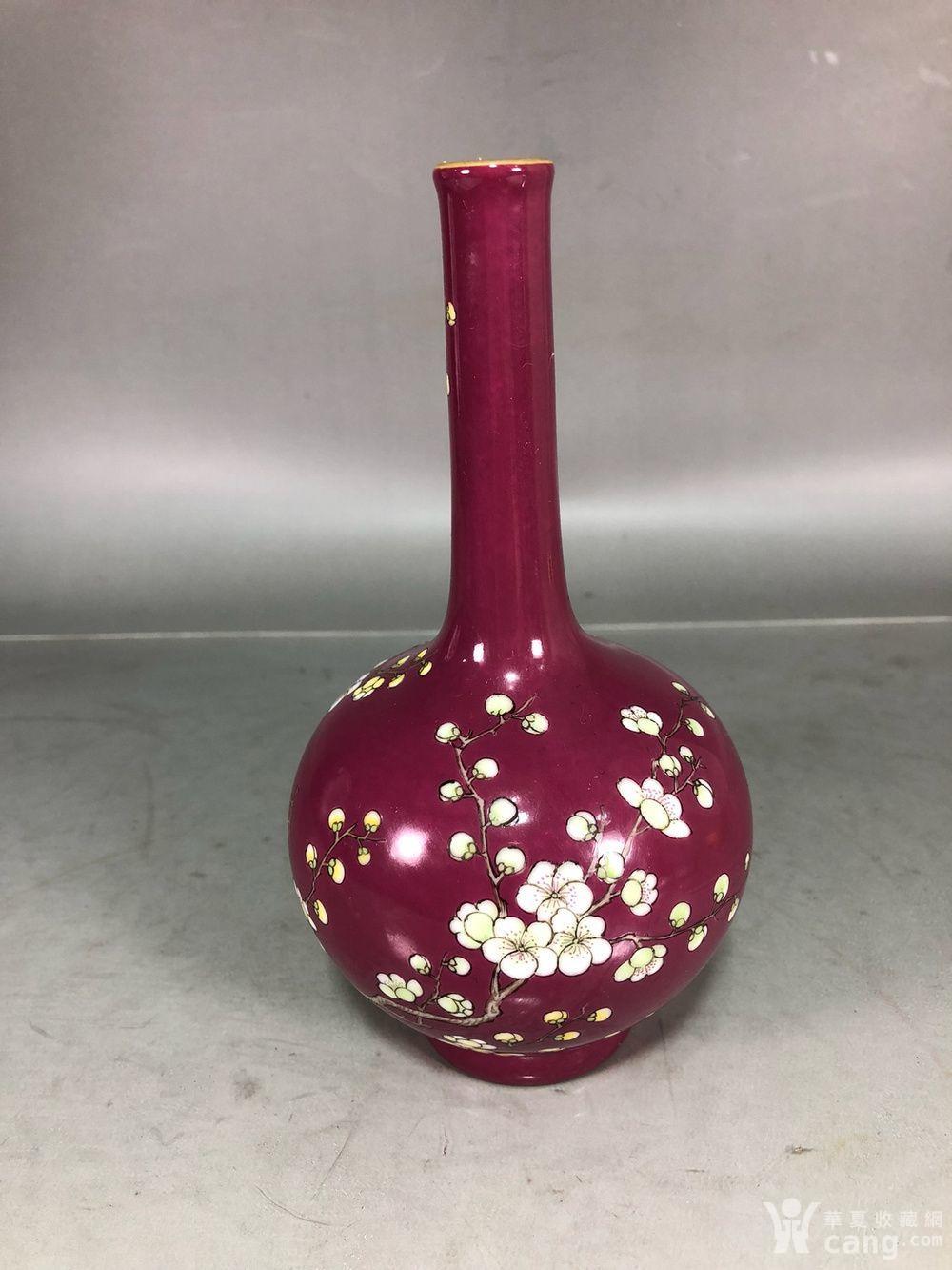 q代胭脂红点彩梅花丹瓶