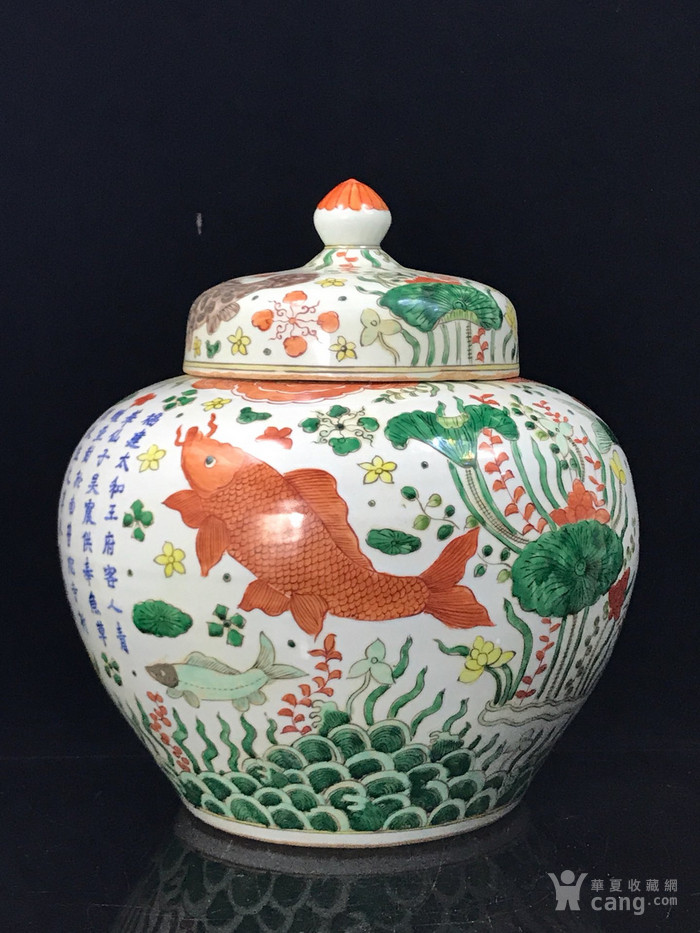 明万历五彩鱼藻纹盖罐