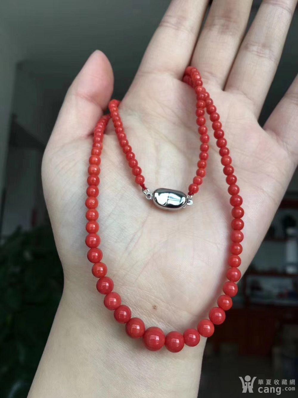 德国 天然意大利沙丁红珊瑚塔链