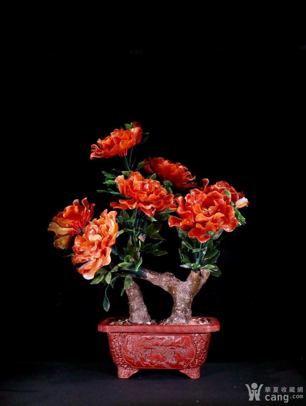 旧藏雕漆 牡丹花 183 盆景 一对