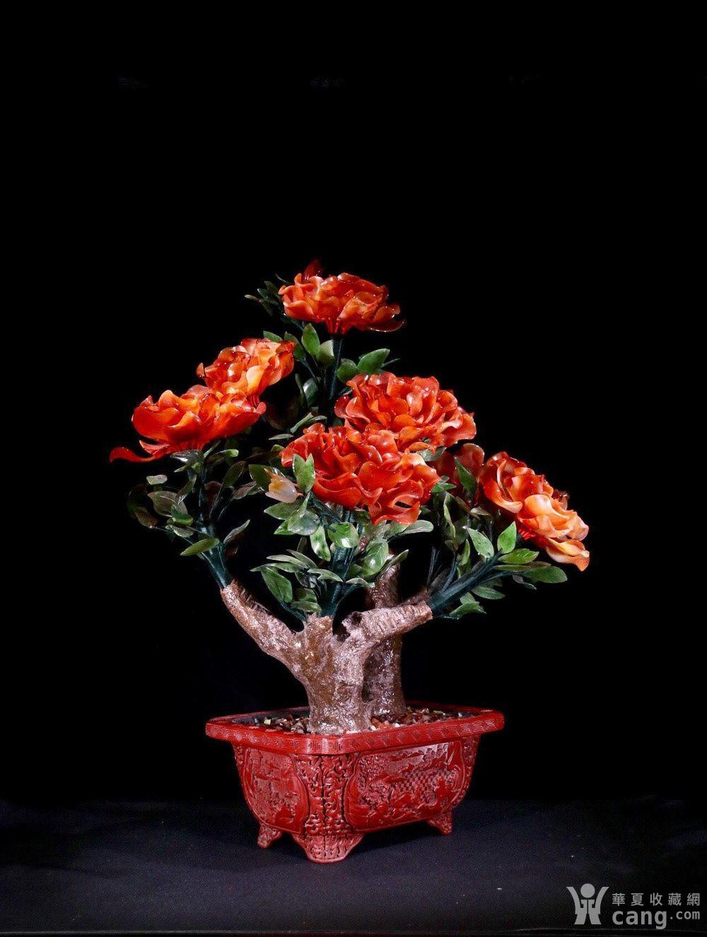 旧藏雕漆 牡丹花 183 盆景 一对