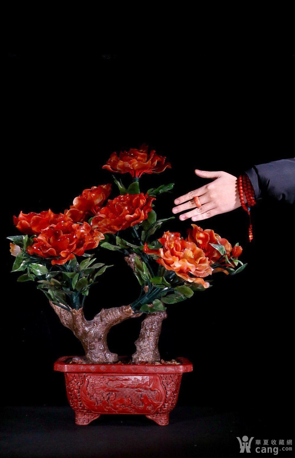 旧藏雕漆 牡丹花 183 盆景 一对