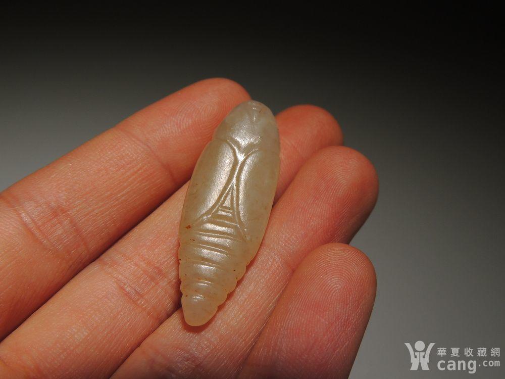 西周组佩串饰籽玉蚕蛹