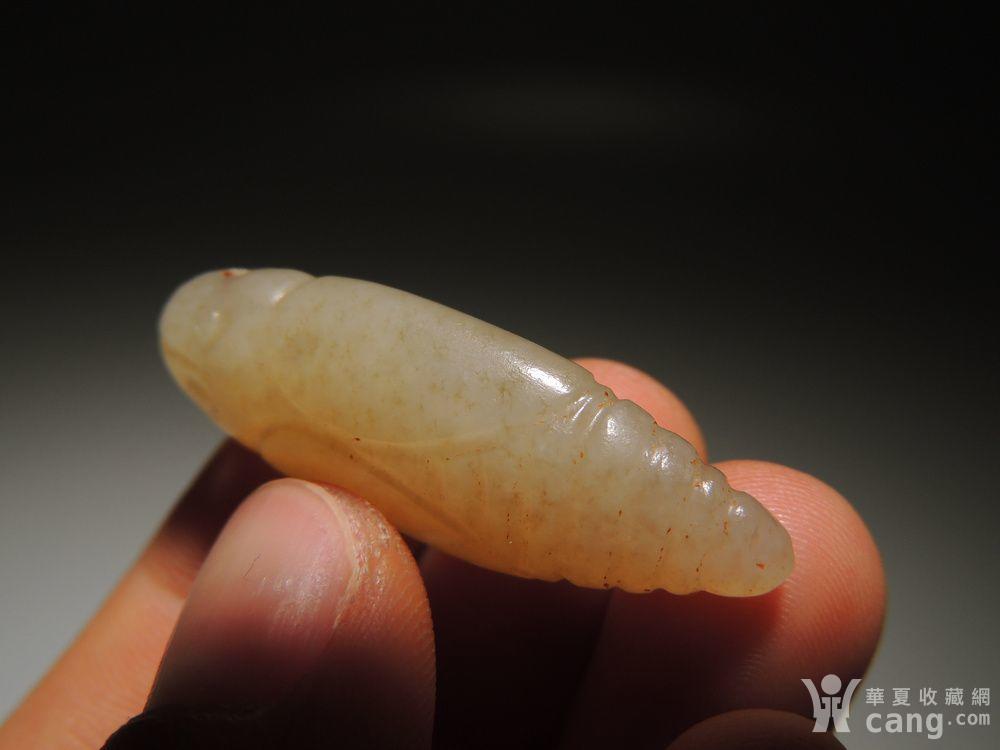 西周组佩串饰籽玉蚕蛹